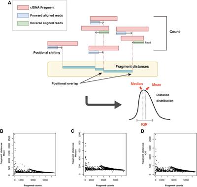 Development and performance evaluation of an artificial intelligence algorithm using cell-free DNA fragment distance for non-invasive prenatal testing (aiD-NIPT)